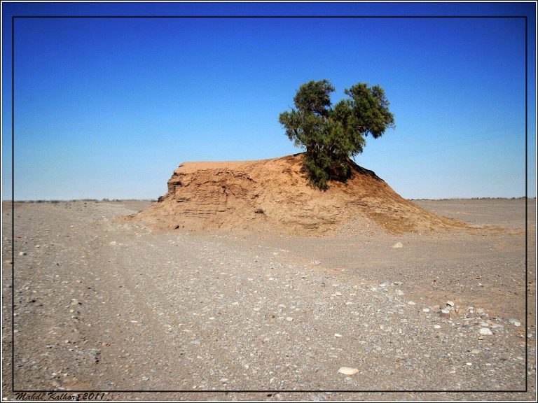 عکس کویر لوت - بلندترین نبکا در جهان، گلدان کویر لوت، توضیح ص1 The Thighest 'Nebka' in the world, Shahdad, Kerman, Iran - panoramio.jpg